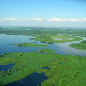 Pantanal Matogrossense